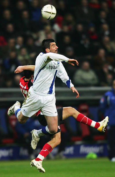 这种稳定的 这种稳定的