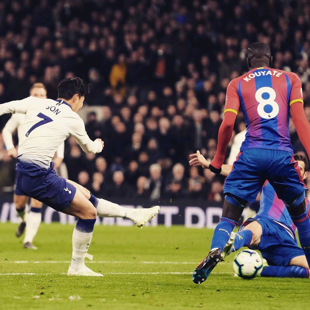 从赛季开始 从赛季开始